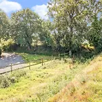 Family Country In Brainville