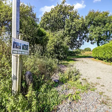 With Garden In Brainville