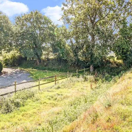 Family Country In Brainville