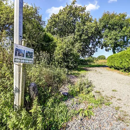 Family Country In * Brainville