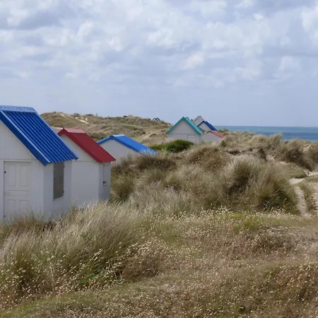 Family Country In * Brainville