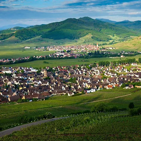 Family Country In *