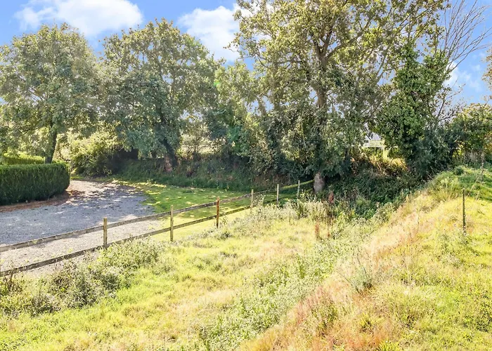 Family Country In Brainville